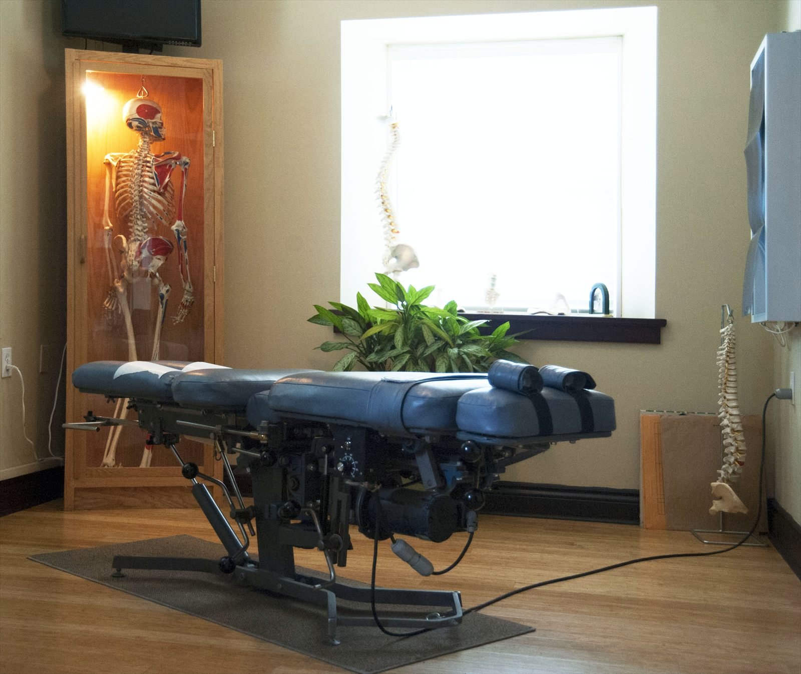 Treatment room with an examination table and anatomical skeleton models.